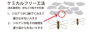 シロアリの物理的バリア