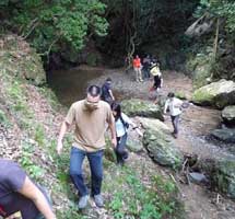 メンバーで、林産地へ赴き、北山杉をしる｜北山スギプロジェクト